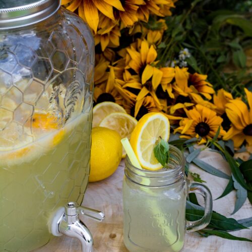 Lemoniada cytrynowa domowa przepis